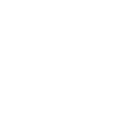 facebook icon in white